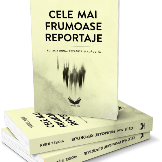 Cele mai frumoase reportaje (Ed. a doua, revăzută și adăugită) © VIOREL ILIȘOI - imagine 4