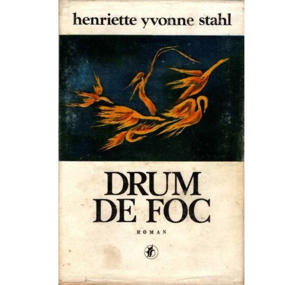 Drum de foc © Henriette Yvonne Stahl